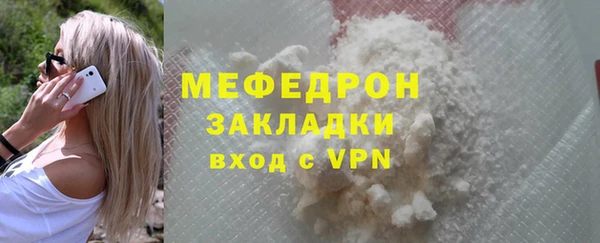 МДПВ Бородино