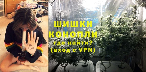 МДПВ Бородино