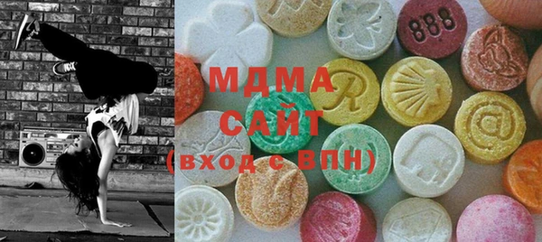 МДПВ Бородино
