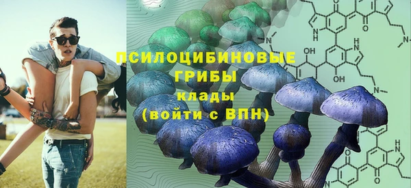 МДПВ Бородино