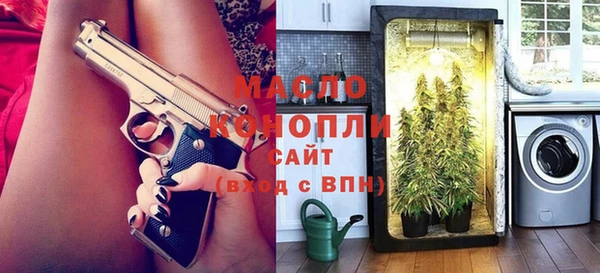 МДПВ Бородино