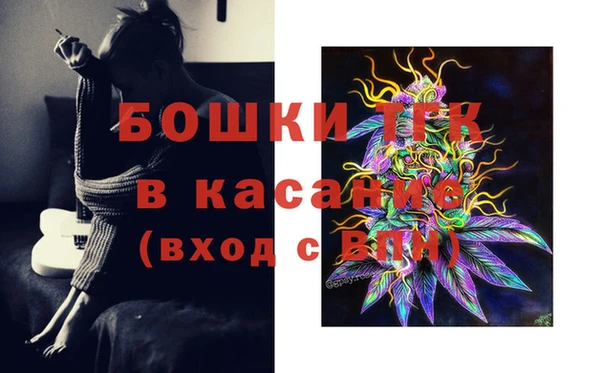 сатива Бронницы