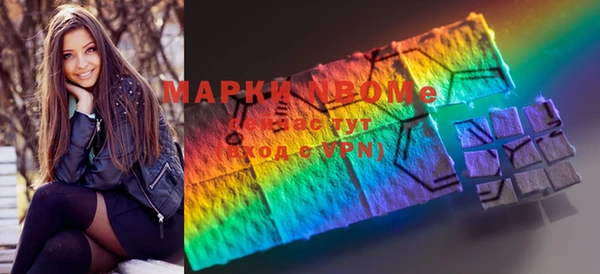 МДПВ Бородино