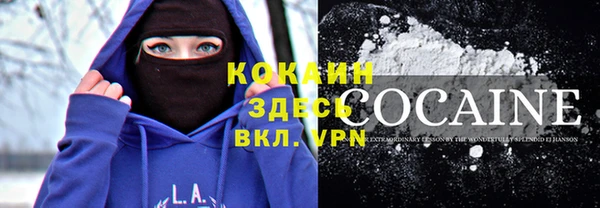 сатива Бронницы