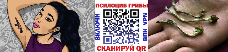 Галлюциногенные грибы прущие грибы  Вилюйск 